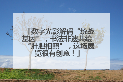 数字光影解码“统战基因”，书法非遗共绘“肝胆相照”，这场展览很有创意！