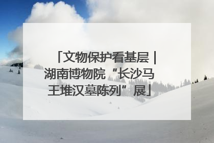 文物保护看基层｜湖南博物院“长沙马王堆汉墓陈列”展