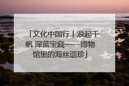 文化中国行丨浪起千帆 深蓝宝藏——博物馆里的海丝遗珍