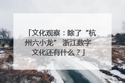 文化观察：除了“杭州六小龙” 浙江数字文化还有什么？