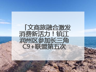 文商旅融合激发消费新活力！镇江润州区参加长三角C9+联盟第五次联席会议