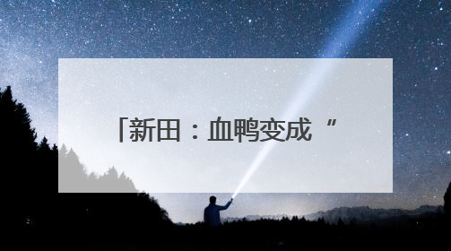 新田：血鸭变成“致富鸭” 预制菜撬动“舌尖经济”