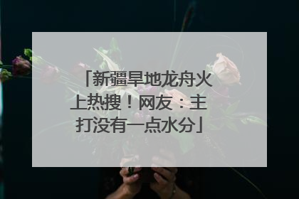 新疆旱地龙舟火上热搜！网友：主打没有一点水分