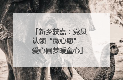 新乡获嘉：党员认领“微心愿” 爱心圆梦暖童心