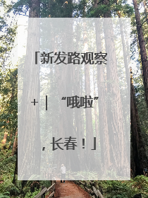 新发路观察+｜“哦啦”，长春！