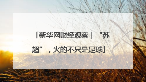 新华网财经观察｜“苏超”，火的不只是足球