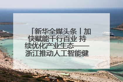 新华全媒头条丨加快赋能千行百业 持续优化产业生态——浙江推动人工智能健康有序发展观察