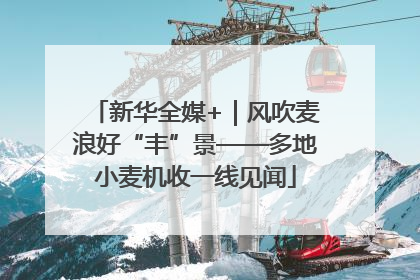 新华全媒+｜风吹麦浪好“丰”景——多地小麦机收一线见闻