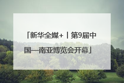 新华全媒+丨第9届中国—南亚博览会开幕