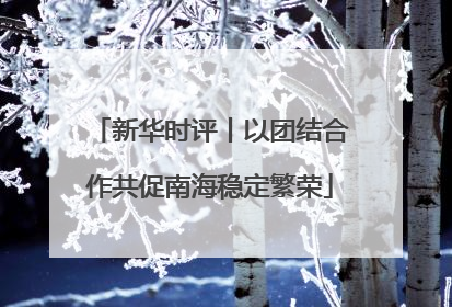 新华时评丨以团结合作共促南海稳定繁荣