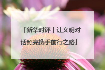 新华时评丨让文明对话照亮携手前行之路