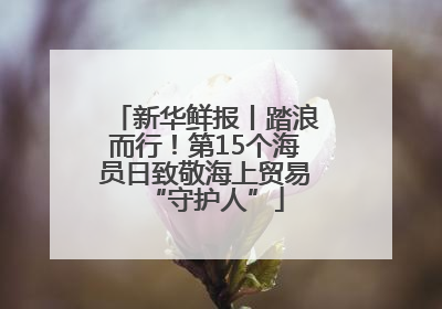 新华鲜报丨踏浪而行！第15个海员日致敬海上贸易“守护人”