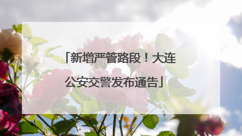 新增严管路段！大连公安交警发布通告