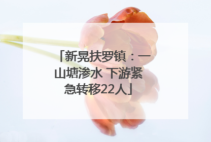 新晃扶罗镇：一山塘渗水 下游紧急转移22人