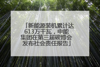 新能源装机累计达613万千瓦，申能集团在第三届碳博会发布社会责任报告