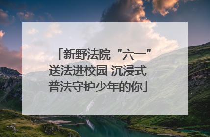 新野法院“六一”送法进校园 沉浸式普法守护少年的你