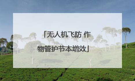 无人机飞防 作物管护节本增效