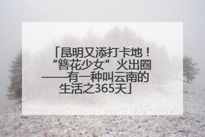 昆明又添打卡地！“簪花少女”火出圈——有一种叫云南的生活之365天