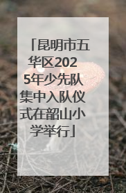昆明市五华区2025年少先队集中入队仪式在韶山小学举行