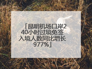 昆明机场口岸240小时过境免签入境人数同比增长977%