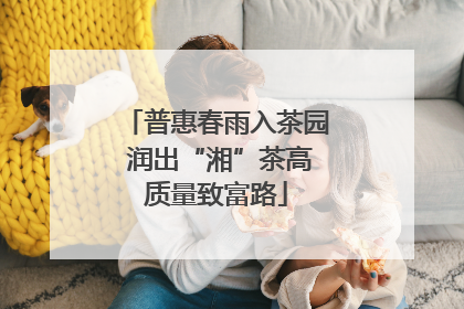 普惠春雨入茶园 润出“湘”茶高质量致富路