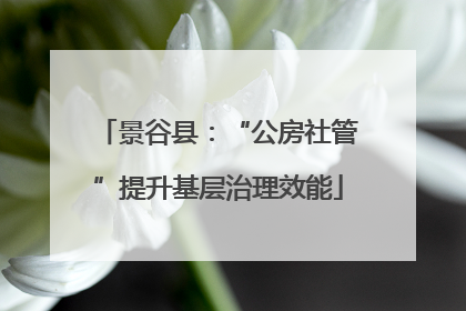 景谷县：“公房社管”提升基层治理效能