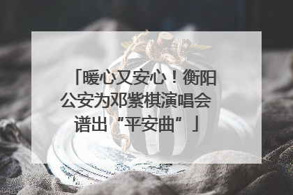暖心又安心！衡阳公安为邓紫棋演唱会谱出“平安曲”