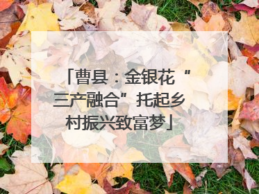 曹县：金银花“三产融合”托起乡村振兴致富梦