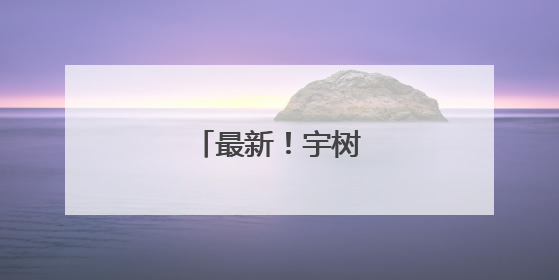 最新！宇树科技改名了