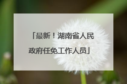 最新！湖南省人民政府任免工作人员