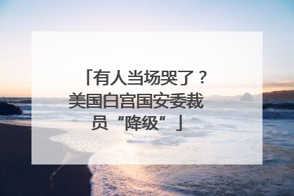有人当场哭了？美国白宫国安委裁员“降级”
