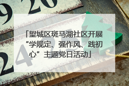 望城区斑马湖社区开展“学规定、强作风、践初心”主题党日活动