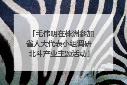 毛伟明在株洲参加省人大代表小组调研北斗产业主题活动