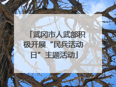 武冈市人武部积极开展“民兵活动日”主题活动