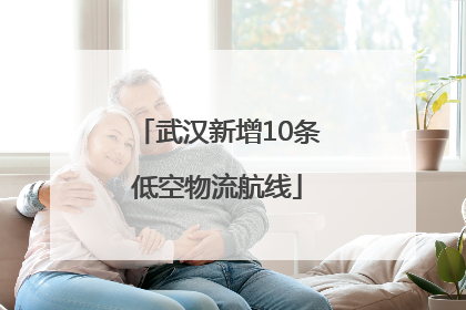 武汉新增10条低空物流航线