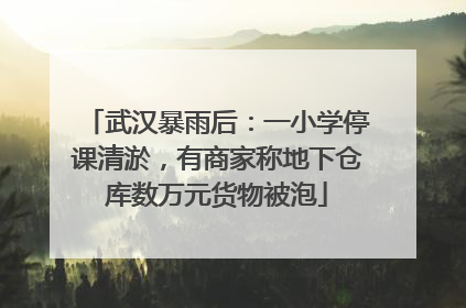 武汉暴雨后：一小学停课清淤，有商家称地下仓库数万元货物被泡