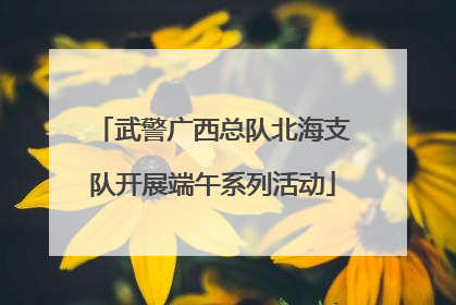 武警广西总队北海支队开展端午系列活动