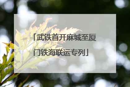 武铁首开麻城至厦门铁海联运专列
