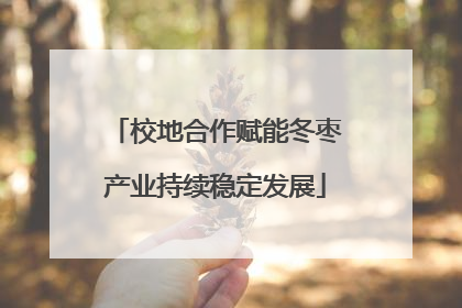 校地合作赋能冬枣产业持续稳定发展