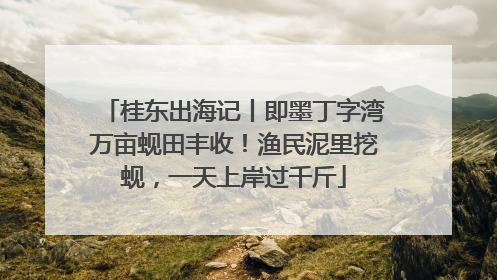 桂东出海记丨即墨丁字湾万亩蚬田丰收！渔民泥里挖蚬，一天上岸过千斤