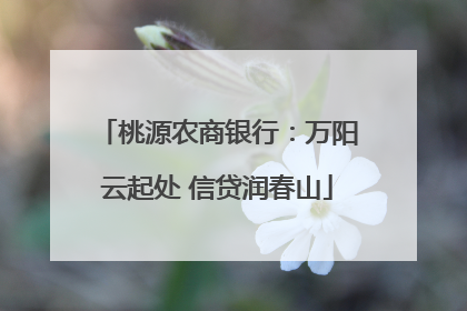 桃源农商银行：万阳云起处 信贷润春山