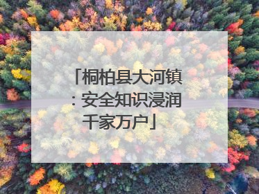 桐柏县大河镇：安全知识浸润千家万户