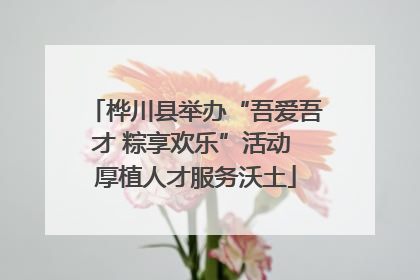 桦川县举办“吾爱吾才 粽享欢乐”活动 厚植人才服务沃土