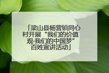 梁山县杨营镇同心村开展“我们的价值观·我们的中国梦”百姓宣讲活动