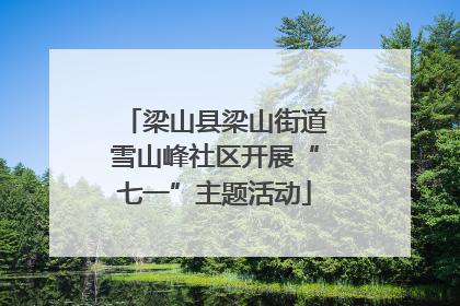 梁山县梁山街道雪山峰社区开展“七一”主题活动