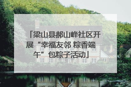 梁山县郝山峰社区开展“幸福友邻 粽香端午”包粽子活动