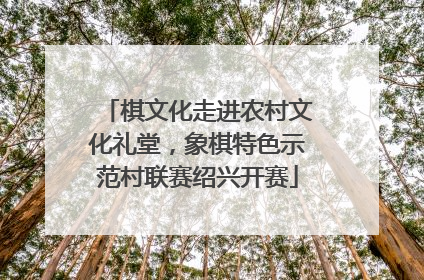 棋文化走进农村文化礼堂，象棋特色示范村联赛绍兴开赛