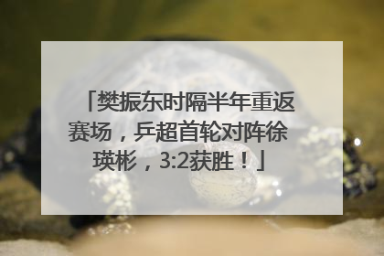 樊振东时隔半年重返赛场，乒超首轮对阵徐瑛彬，3:2获胜！