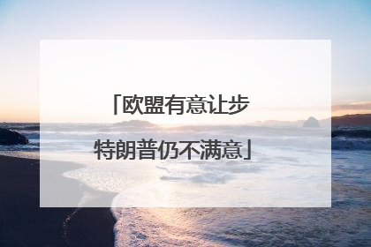 欧盟有意让步 特朗普仍不满意