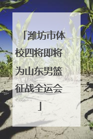 潍坊市体校四将即将为山东男篮征战全运会